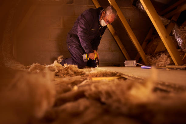 Professional Insulation Contractor in KS